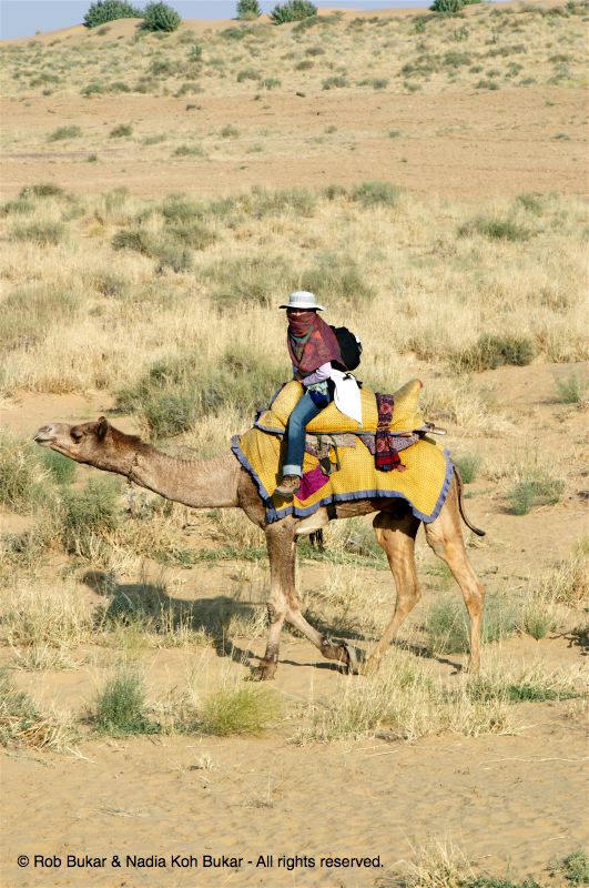 Nadia on camel, Jaisalmer