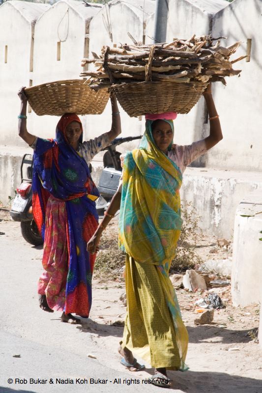 Women Carying Wood, Udiapur