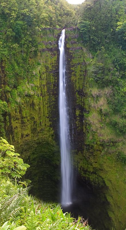 Akaka Falls, Hilo