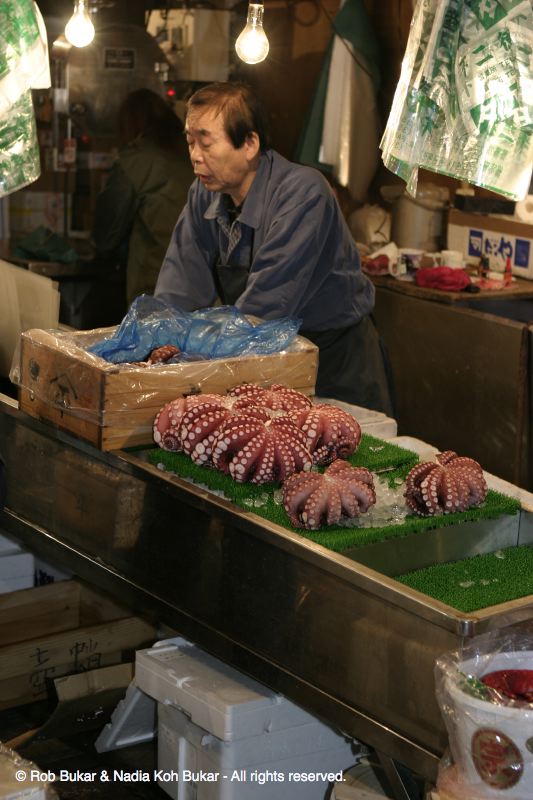 Octopus at Fish Market, Tokyo