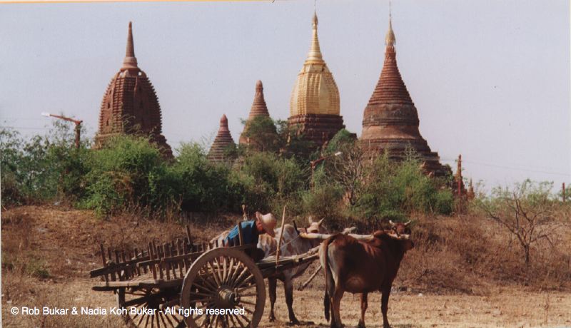 Mule and Carriage, Bagan