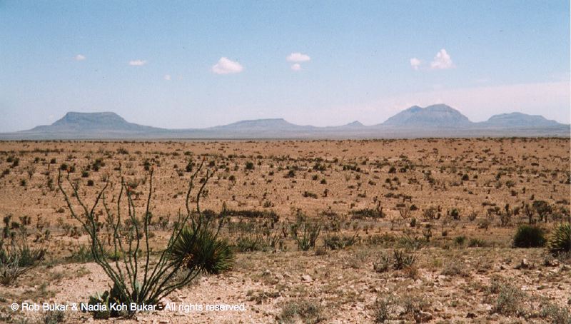 Desert, North West Texas