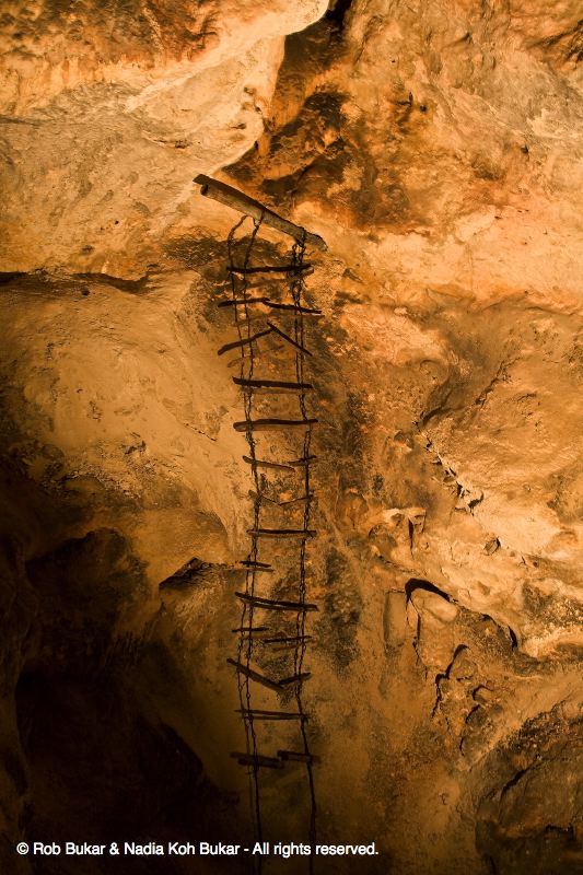 Old Cave Ladder